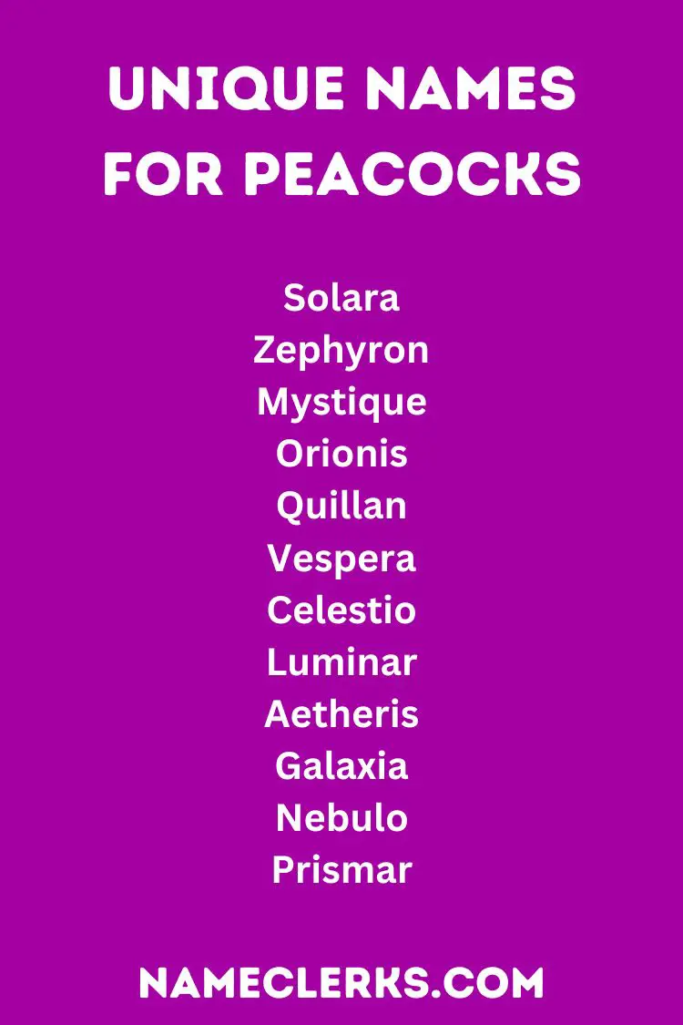 Unique Names For Peacocks