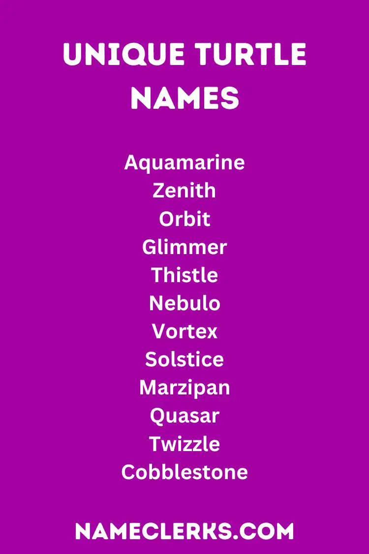 Unique Turtle Names