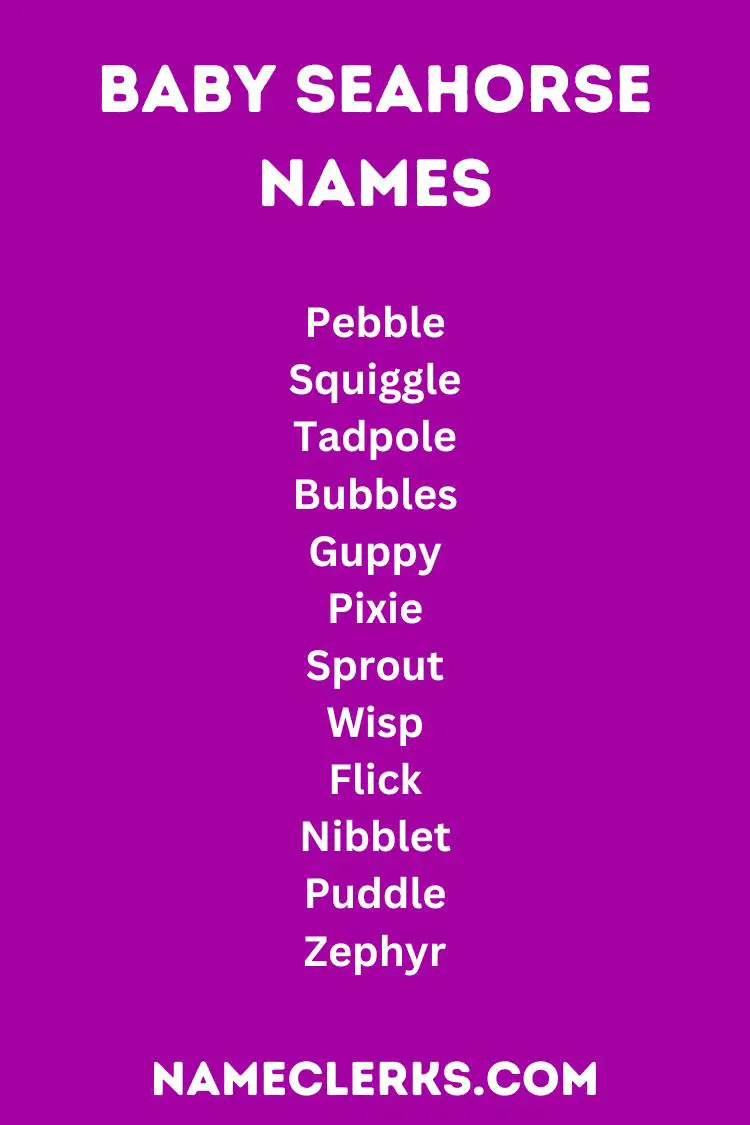 Baby Seahorse Names