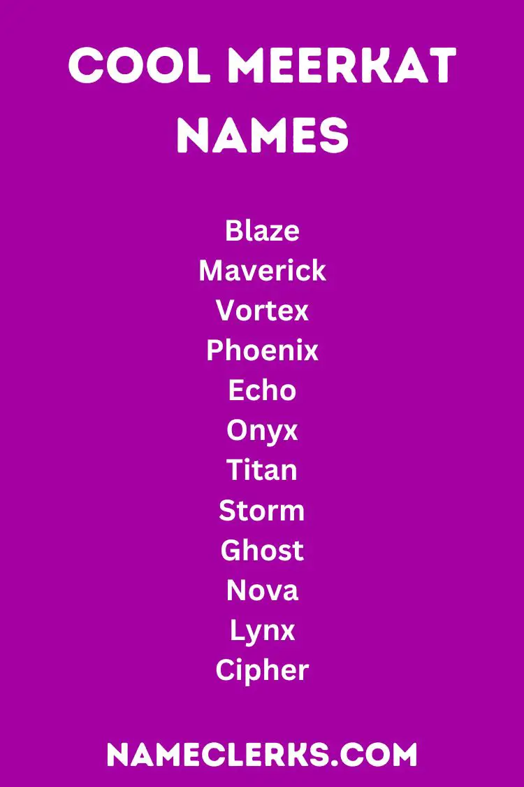 Cool Meerkat Names