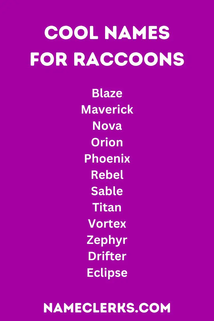 Cool Names For Raccoons