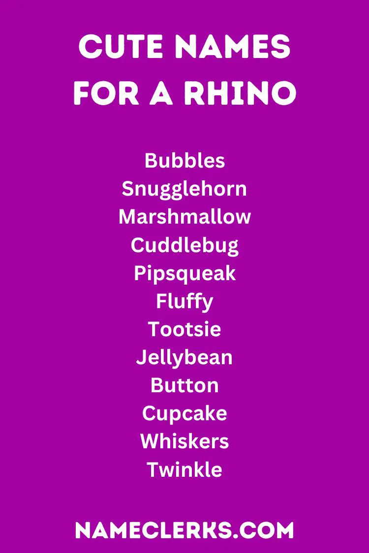 Cute Names For A Rhino
