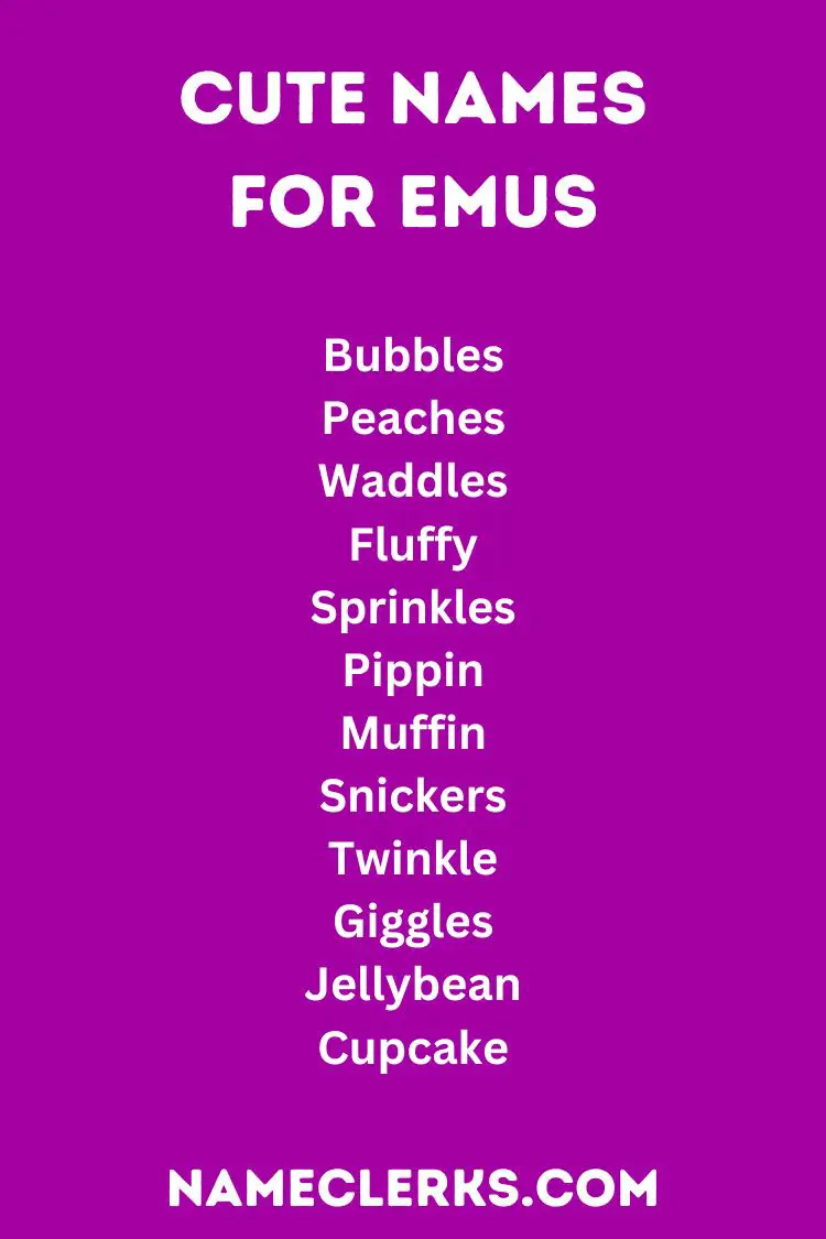 Cute Names for Emus