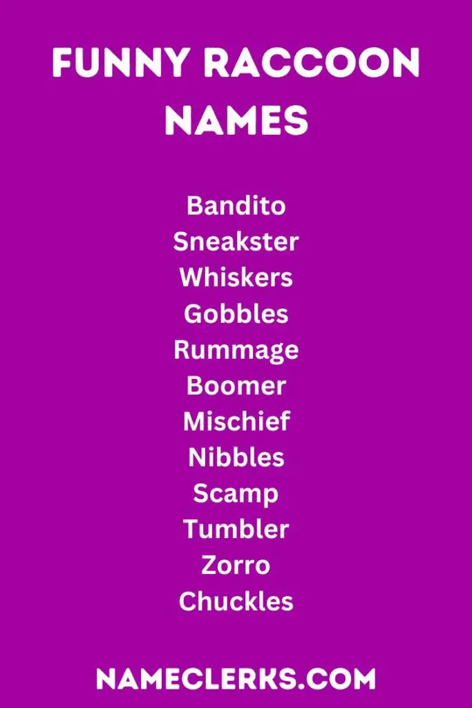 Raccoon Names (650+ Ideas for Your Furry Bandit)