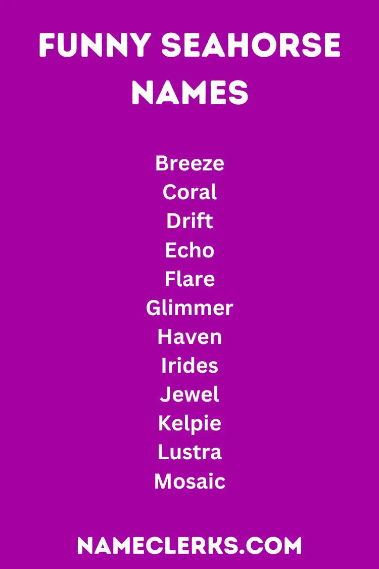 Funny Seahorse Names