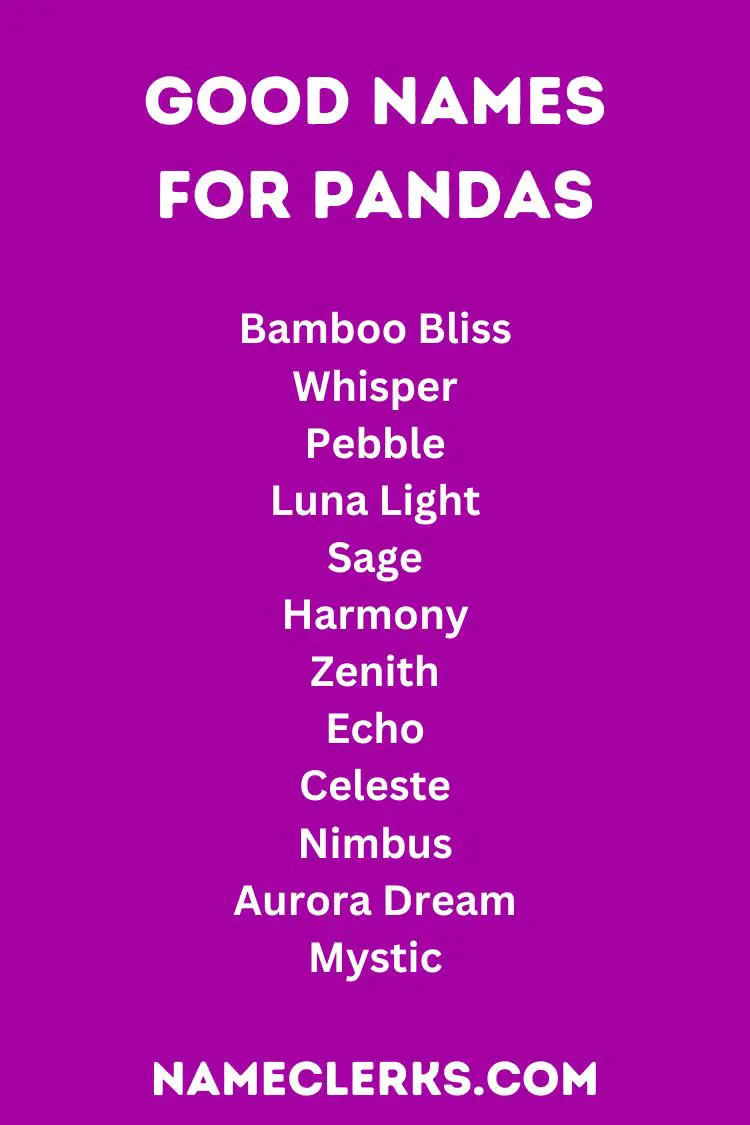 Good Names For Pandas