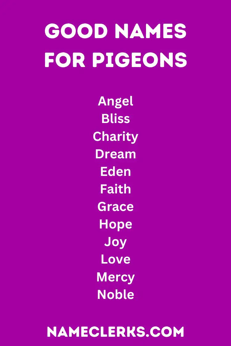Good Names for Pigeons
