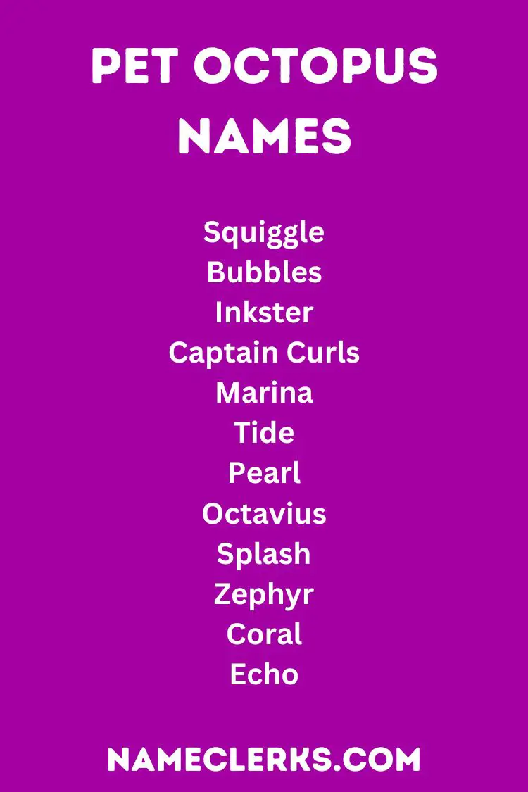 Pet Octopus Names