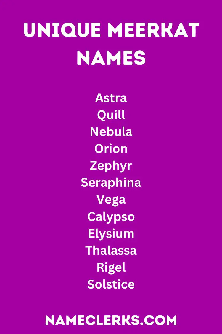 Unique Meerkat Names