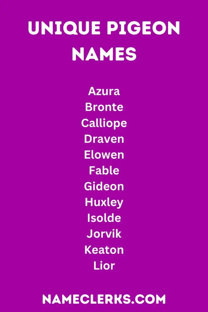 Pigeon Names (600+ Ideas to Name Your Feathered Friend)