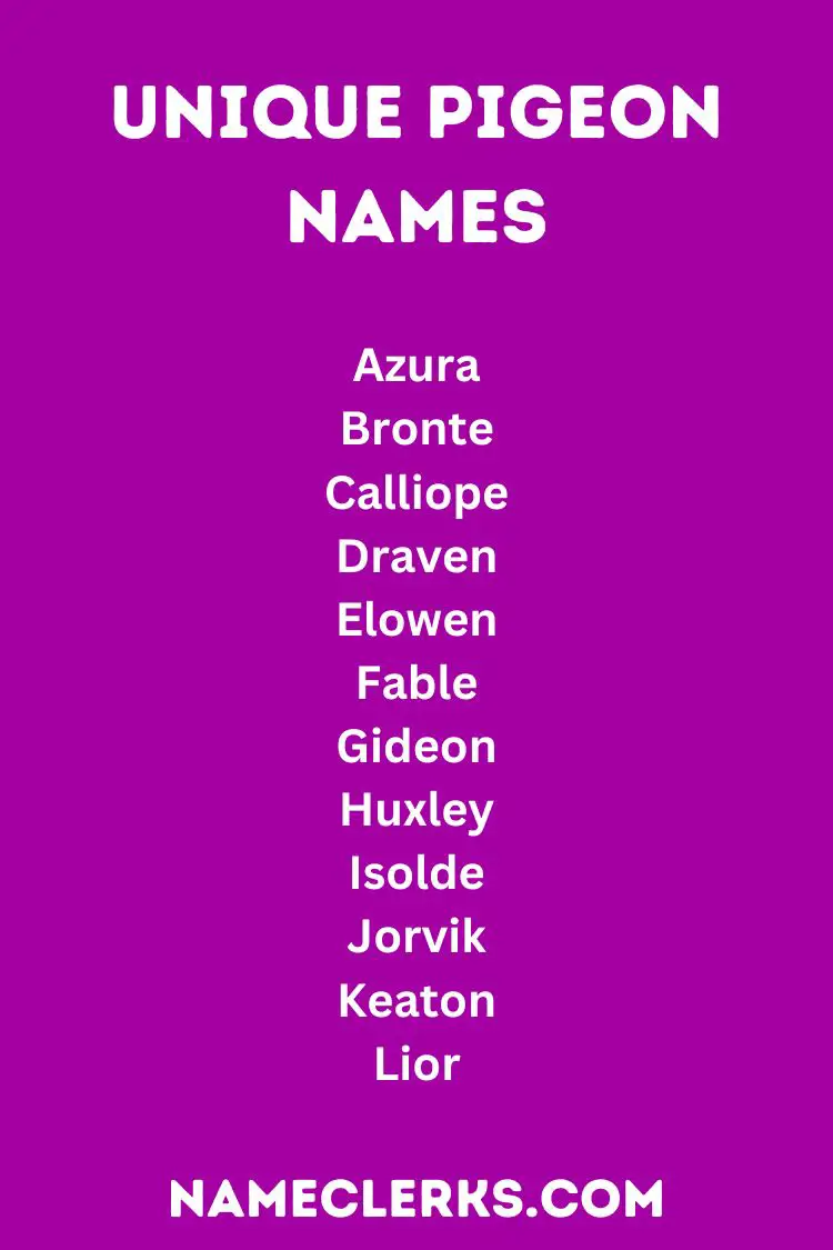 Unique Pigeon Names