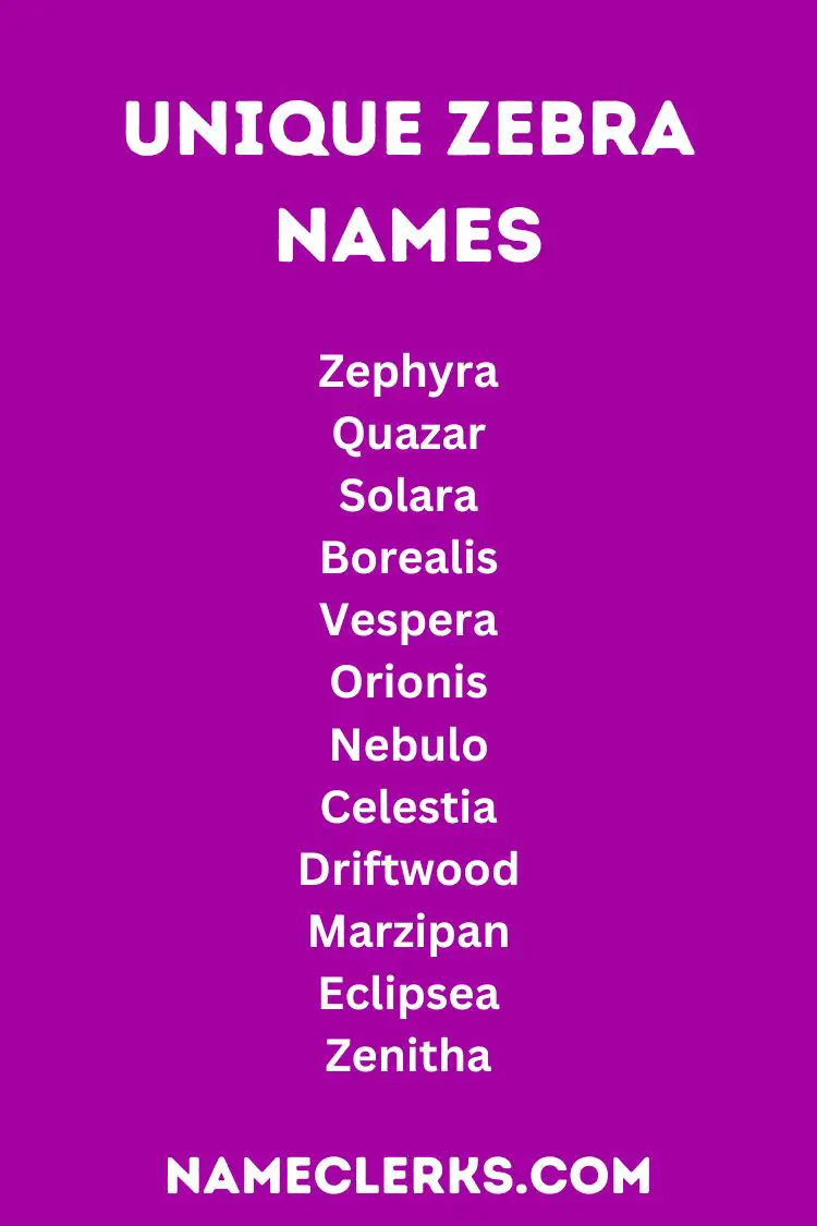 Unique Zebra Names
