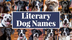 Literary Dog Names