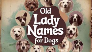 Old Lady Names for Dogs