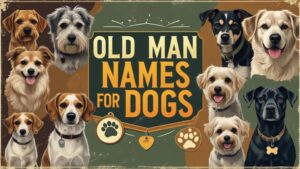 Old Man Names for Dogs