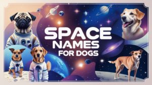 Space Names for Dogs