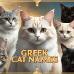 Greek Cat Names